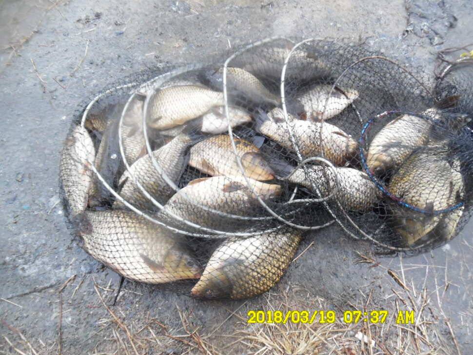 경주 동산낚시터 지난주 조황 (유료터정보 - 유료터점주조황)