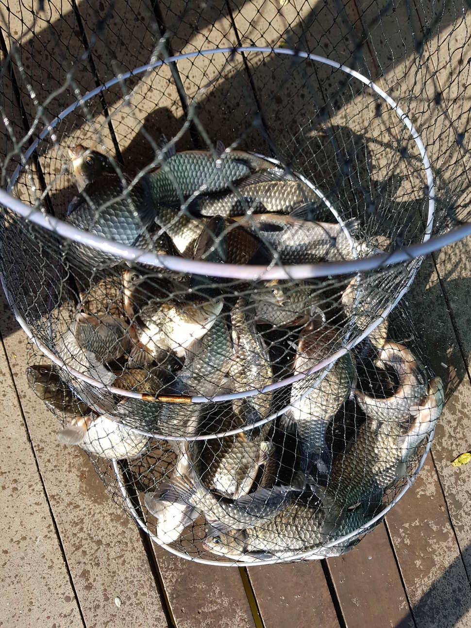 fish_pay_40090_041046_79740.jpg