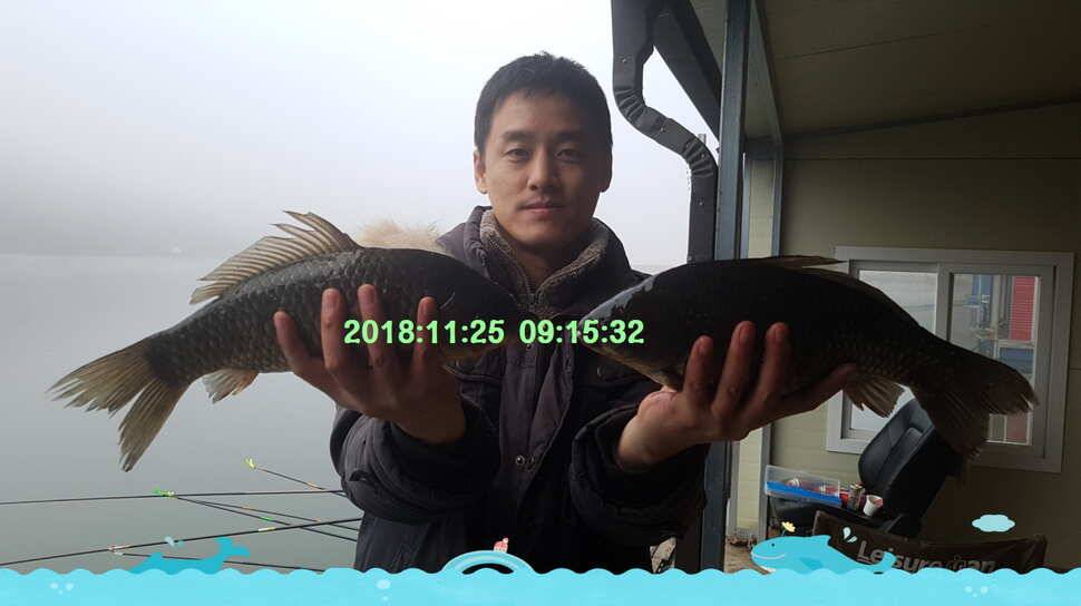 신원낚시터 11월 마지막주 조황소식과 방류 동영상 입니다 (유료터정보 - 유료터점주조황)