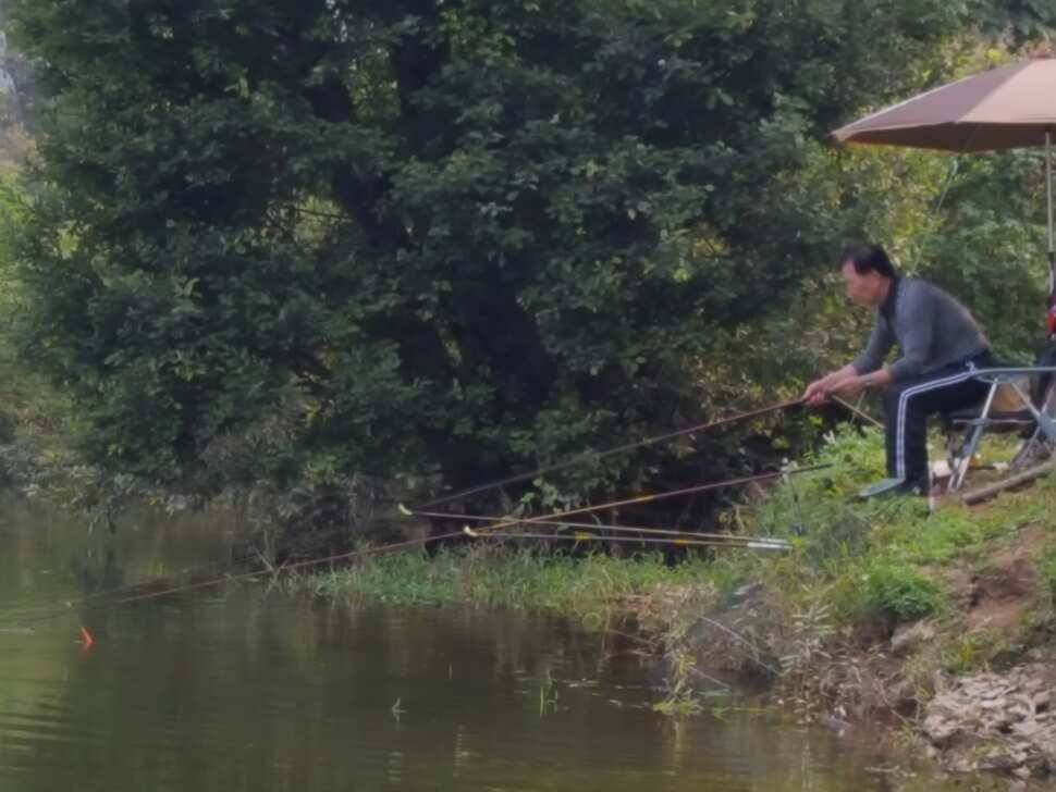 안성죽산장계지조항전경입니다 (유료터정보 - 유료터점주조황)