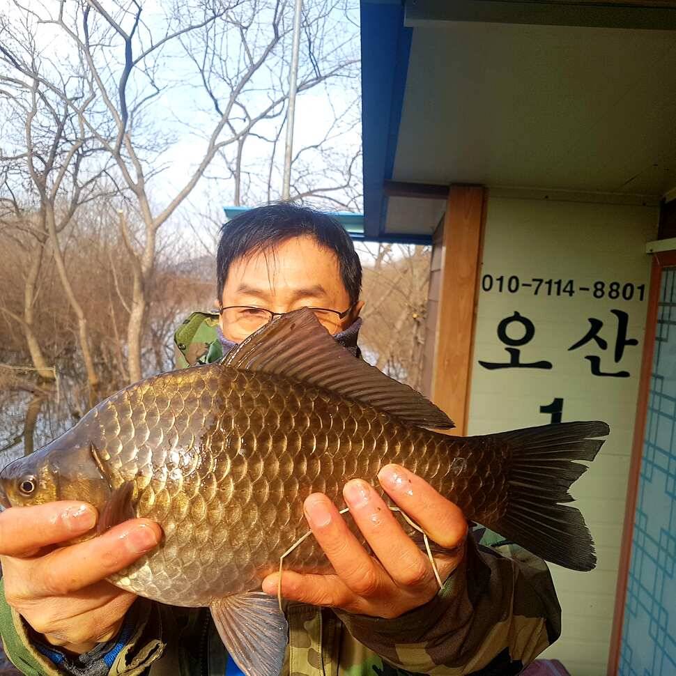 혹뿌리 붕어 와 마릿수 (유료터정보 - 유료터점주조황)