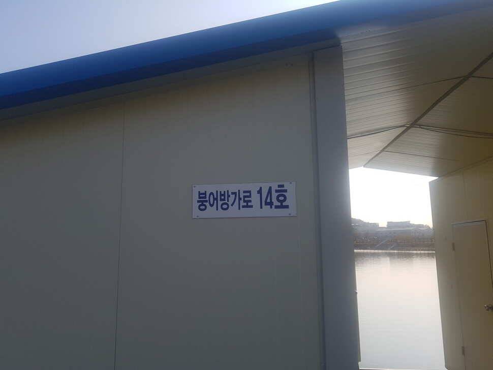 11 월 15 일 경기도 안성 거청낚시터 붕어조황 (유료터정보 - 유료터점주조황)