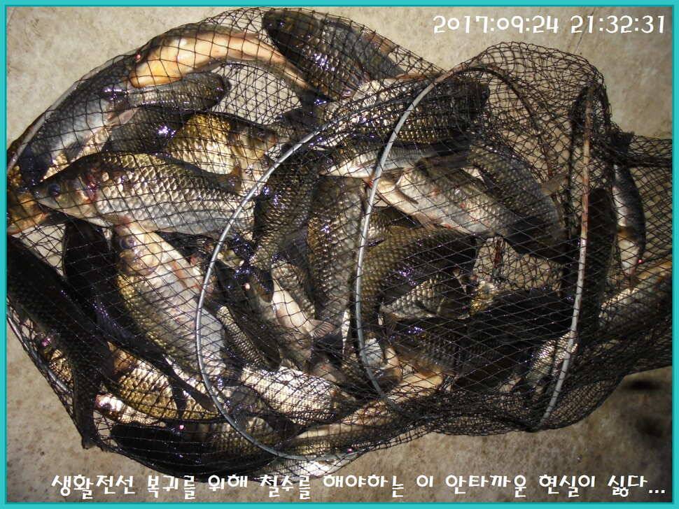 도심속의 작은 쉼터 화성 관리 낚시터입니다건강하고 풍성한 한가위 맞으소서 (유료터정보 - 유료터점주조황)
