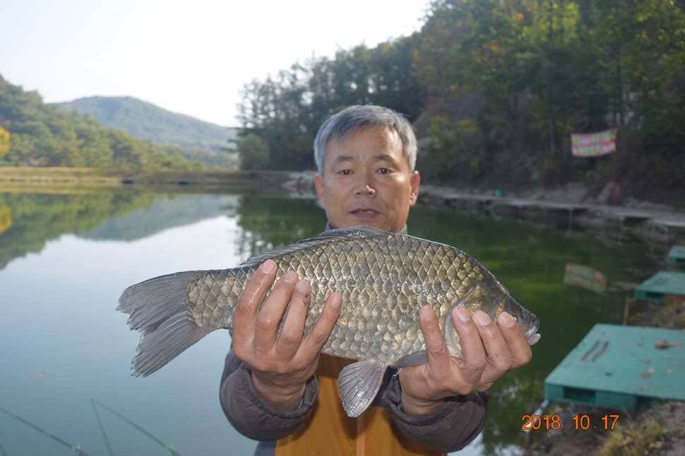 조황 (유료터정보 - 유료터점주조황)