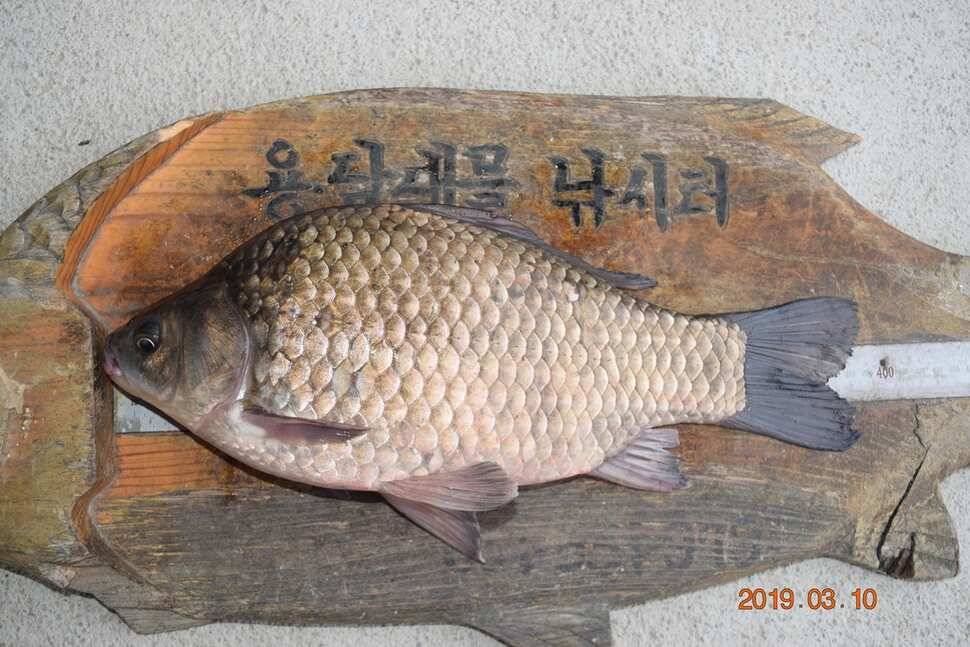 덩어리들 (유료터정보 - 유료터점주조황)