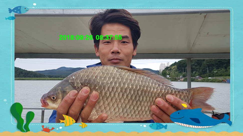 신원낚시터 추석연휴 조황 소식입니다 (유료터정보 - 유료터점주조황)
