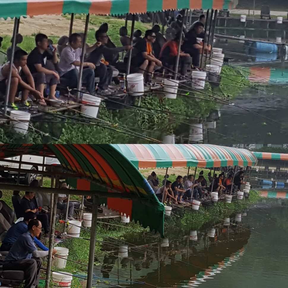 꾼 (유료터정보 - 유료터점주조황)