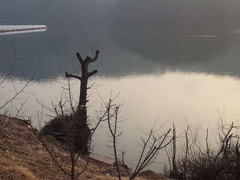 안성죽산장계지조항전경입니다 (유료터정보 - 유료터점주조황)