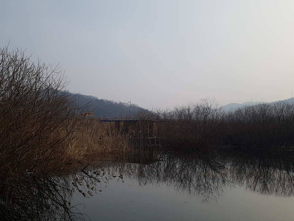 계속좋아지고 있네요 덩어리 (유료터정보 - 유료터점주조황)