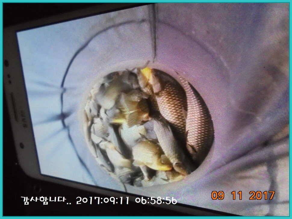 도심속의 작은 쉼터 화성 관리 낚시터입니다열정속으로 (유료터정보 - 유료터점주조황)
