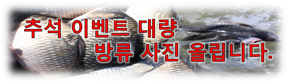 추석 이벤트 (유료터정보 - 유료터점주조황)
