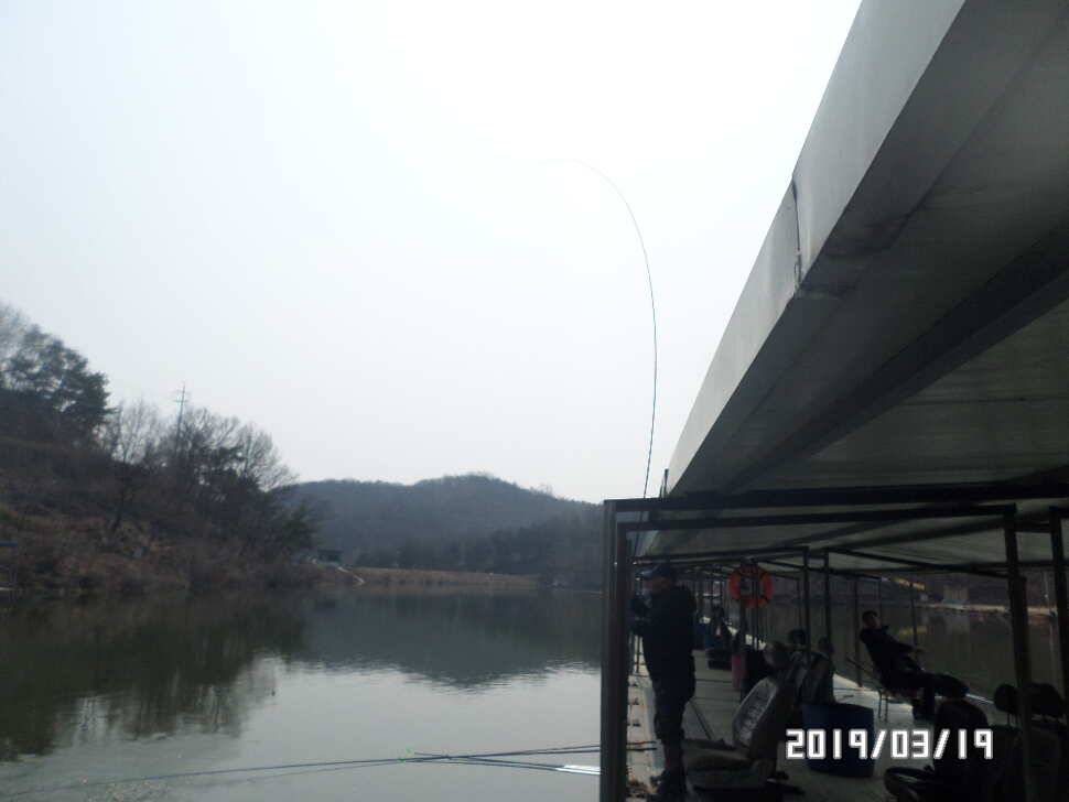 아산신수지 3월 넷째 주초 화보입니다 (유료터정보 - 유료터점주조황)