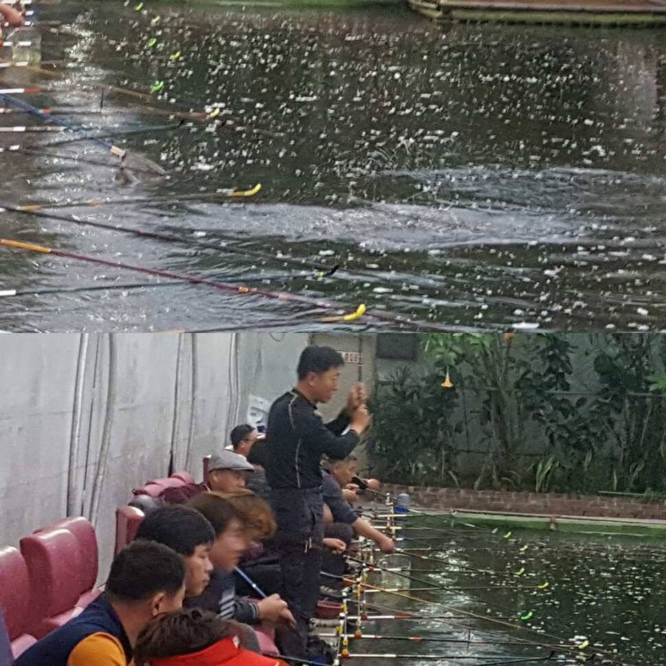 신세타령 (유료터정보 - 유료터점주조황)