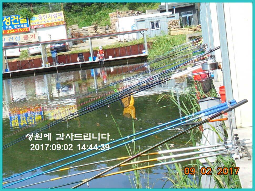 도심속의 작은 쉼터 화성 관리 낚시터 입니다 (유료터정보 - 유료터점주조황)