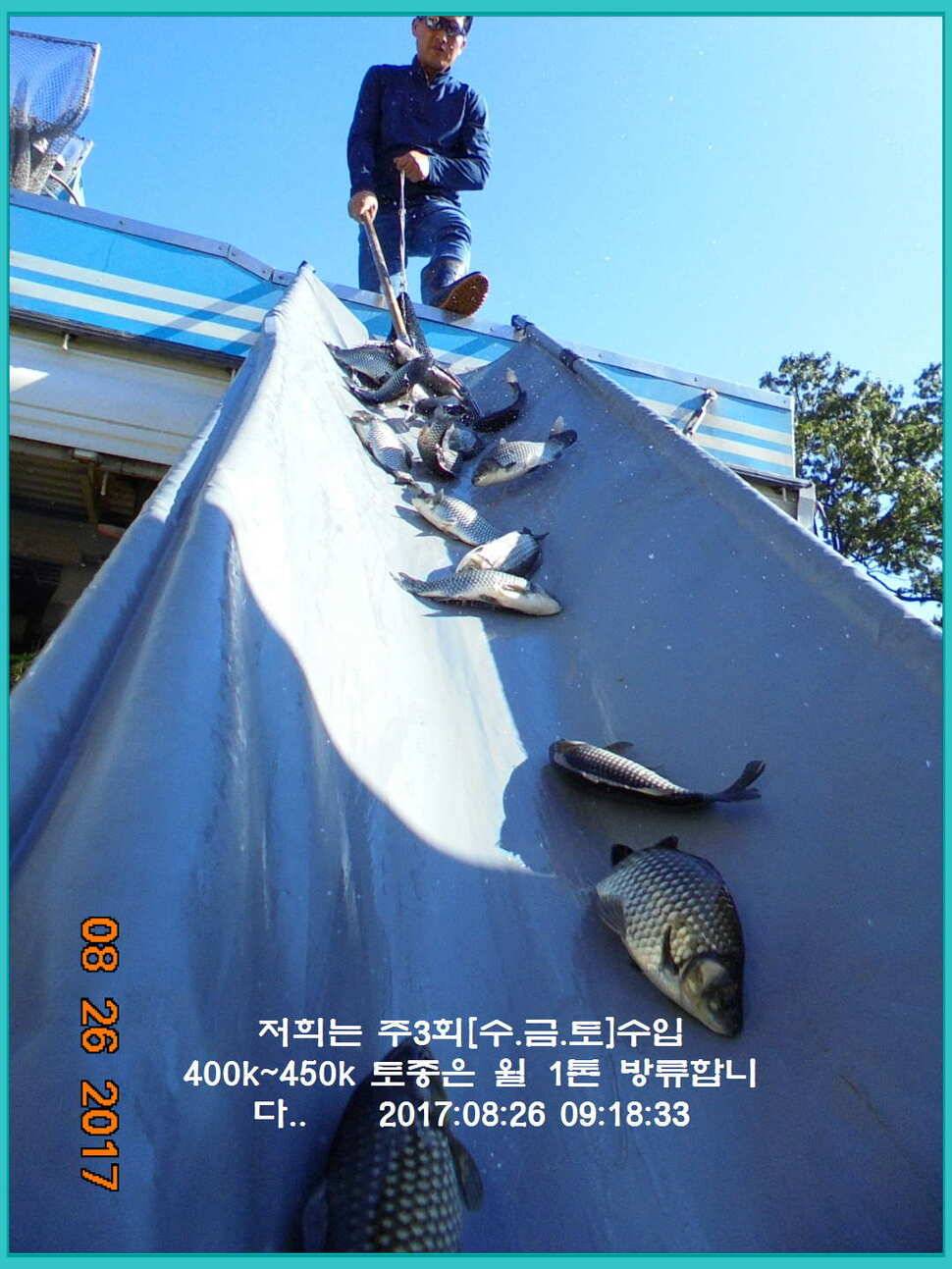 도심속의 작은 쉼터 화성 관리 낚시터입니다밤은 행복입니다 (유료터정보 - 유료터점주조황)