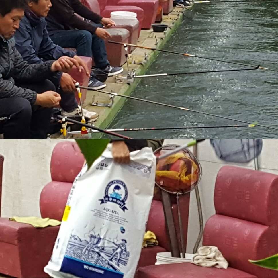 워쩐댜 (유료터정보 - 유료터점주조황)