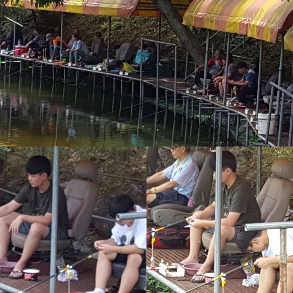 꾼 (유료터정보 - 유료터점주조황)