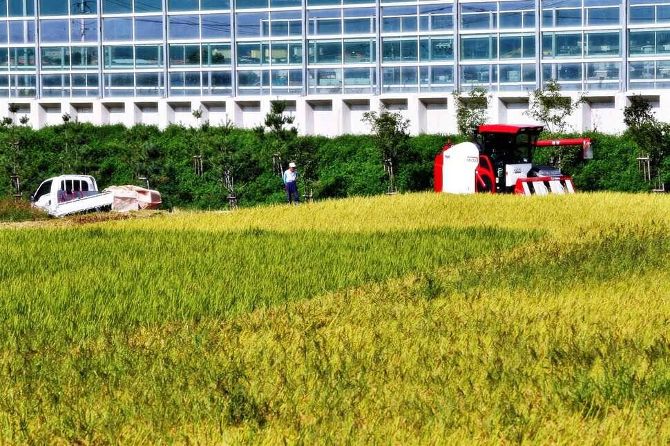 경기도 포천 쌍방죽낚시터 928 붕어 소식 (유료터정보 - 유료터점주조황)
