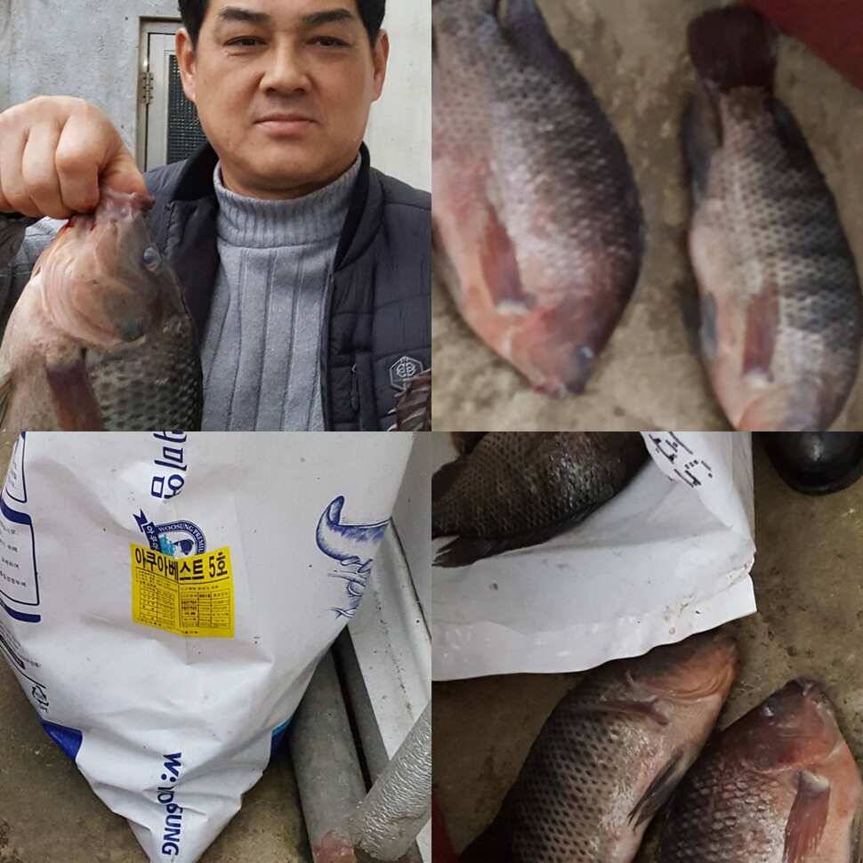 짱 쎈 년 (유료터정보 - 유료터점주조황)