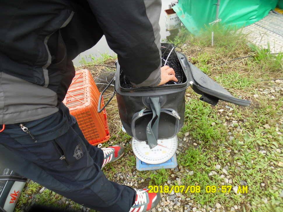경주 동산낚시터 지난주부터 막나옵니다 (유료터정보 - 유료터점주조황)