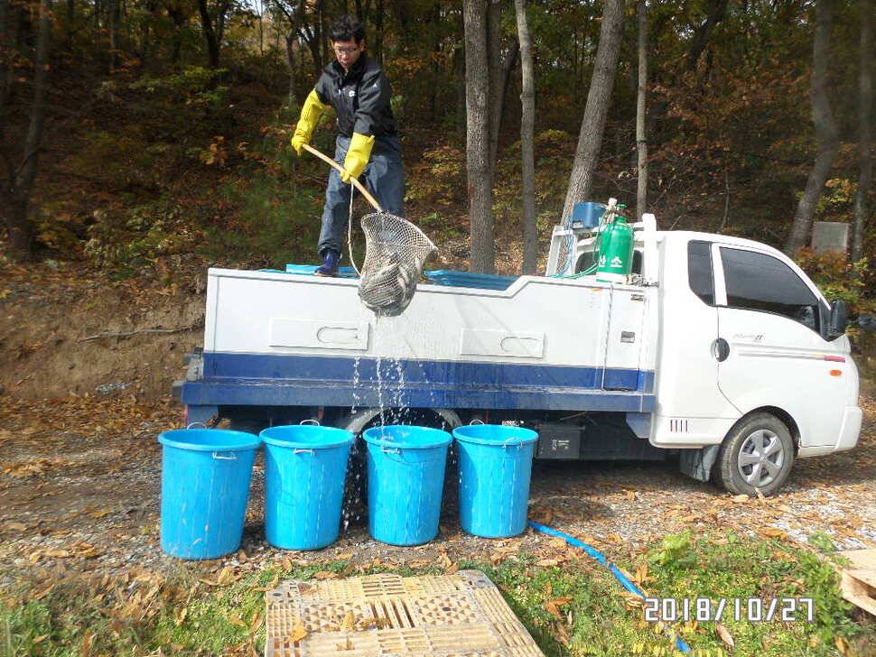 아산신수지 10월 넷째 주말 화보입니다 (유료터정보 - 유료터점주조황)