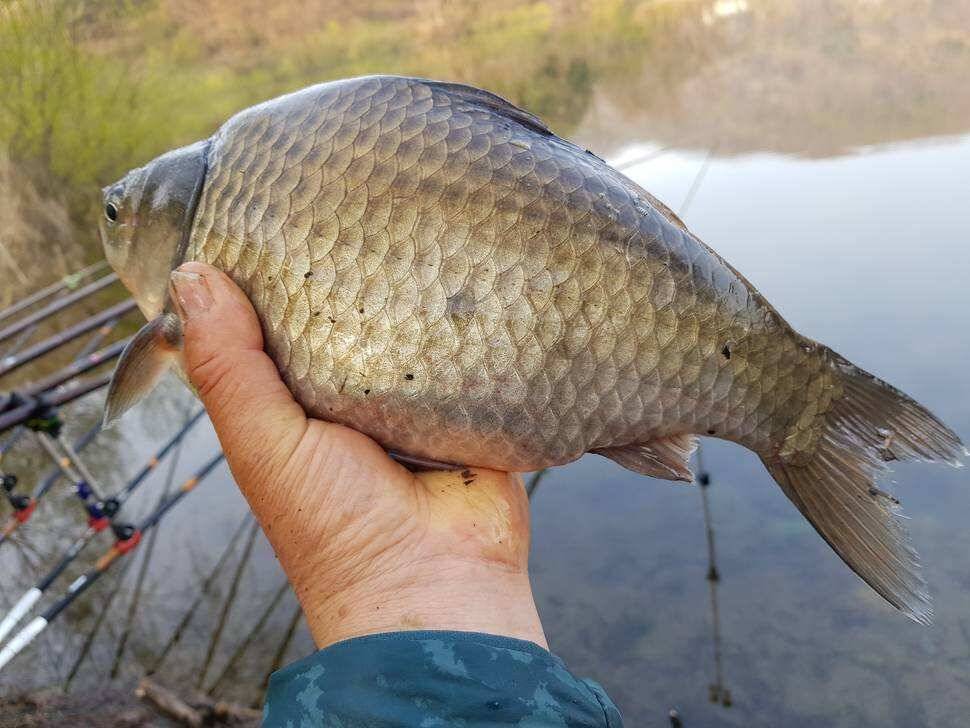 fish_pay_4d72e_094031_30902.jpg