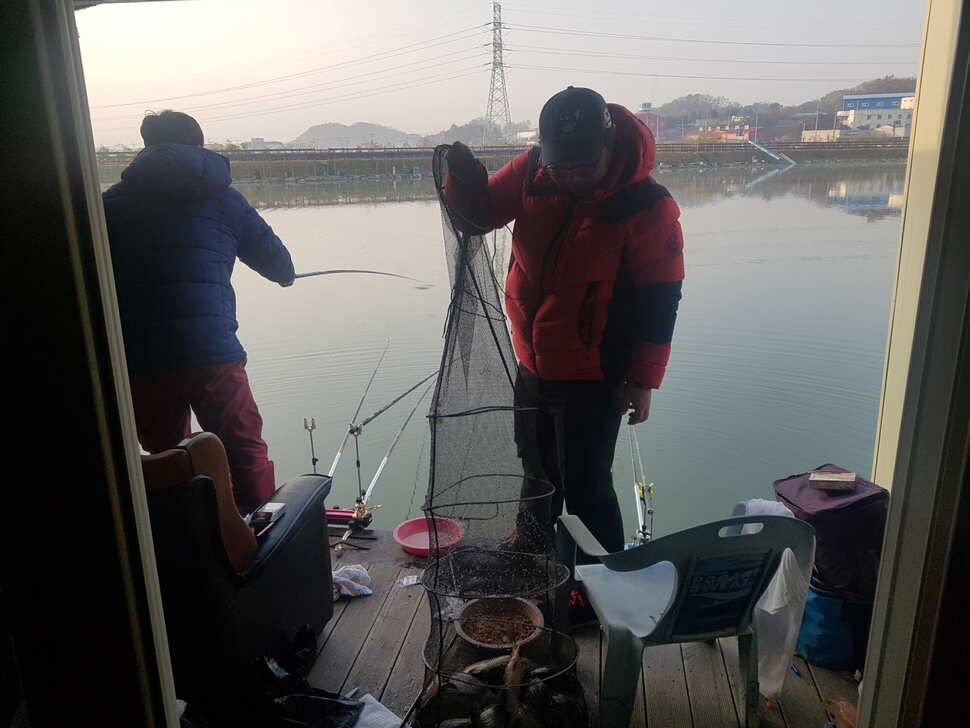 11 월 14 일 경기도 안성 거청낚시터 붕어조황 (유료터정보 - 유료터점주조황)