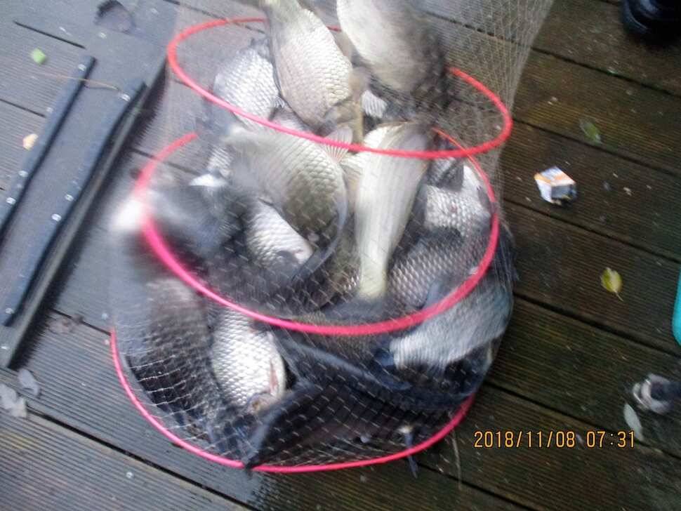 fish_pay_4ecb1_103533_32206.jpg