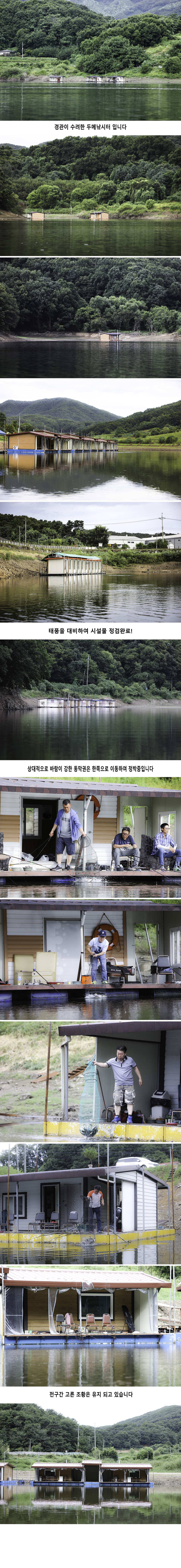 안성 두메낚시터 8월23일 조황안내 (유료터정보 - 유료터점주조황)