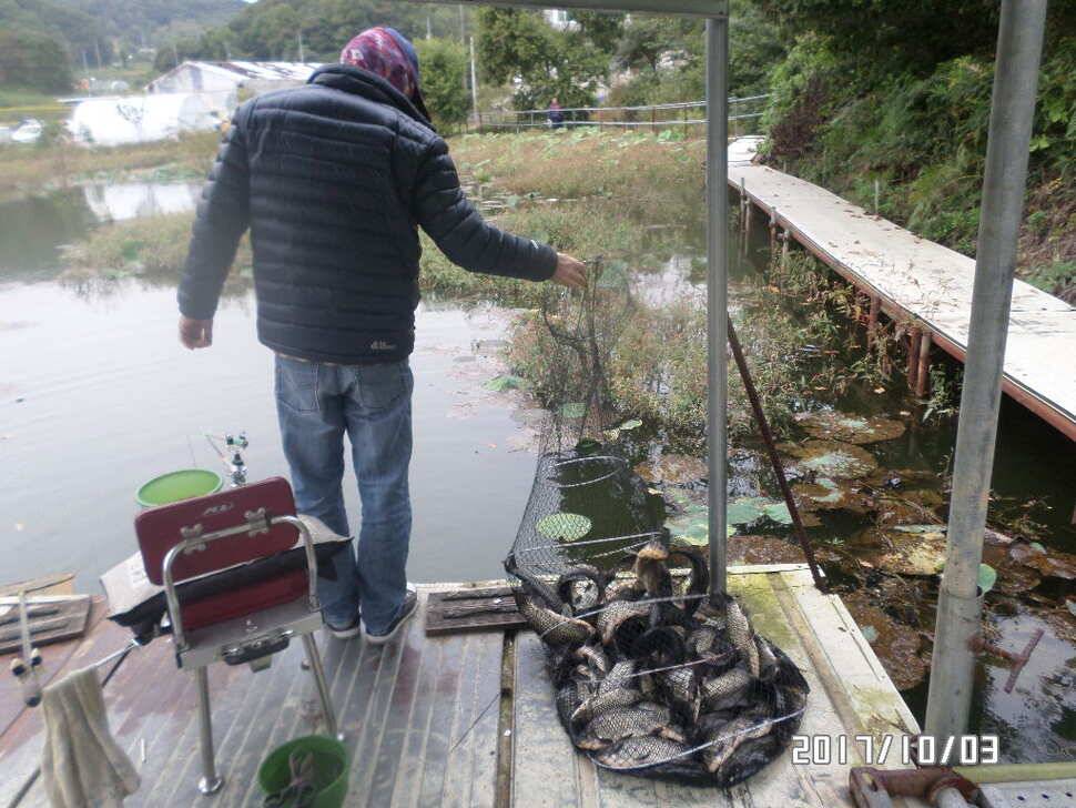 아산 신수지 추석전일 모습입니다 (유료터정보 - 유료터점주조황)