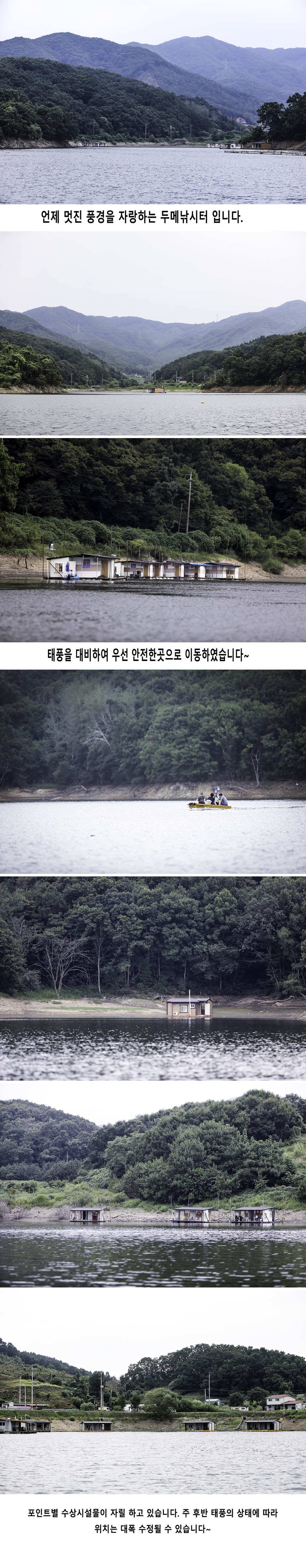 안성 두메낚시터 8월21일 조황안내 (유료터정보 - 유료터점주조황)