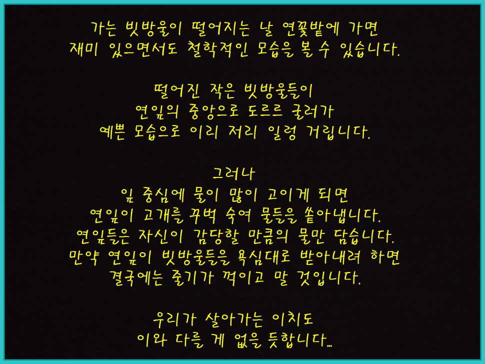 도심속의 작은 쉼터 화성 관리 낚시터입니다즐겁고 행복하고 풍성한 한가위 보내세요 (유료터정보 - 유료터점주조황)
