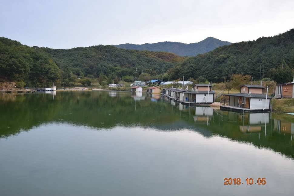 조황 (유료터정보 - 유료터점주조황)
