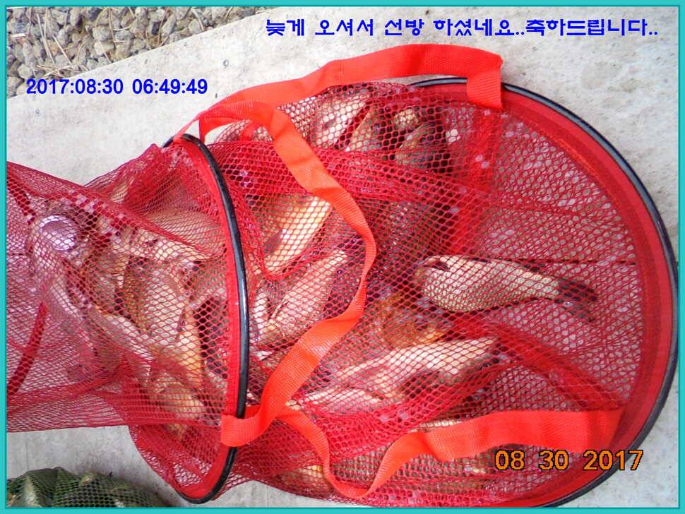 도심속의 작은 쉼터 화성 관리 낚시터입니다 (유료터정보 - 유료터점주조황)