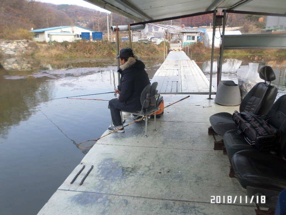 아산신수지 11월 셋째 주말 화보입니다 (유료터정보 - 유료터점주조황)