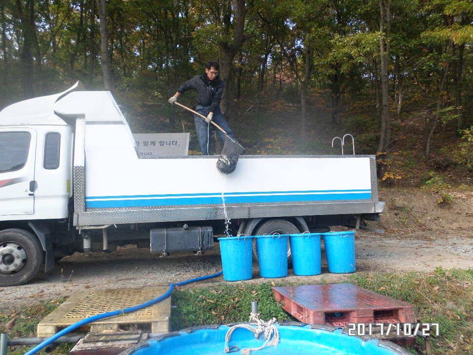 아산신수지 2627 화보 올림니다 (유료터정보 - 유료터점주조황)