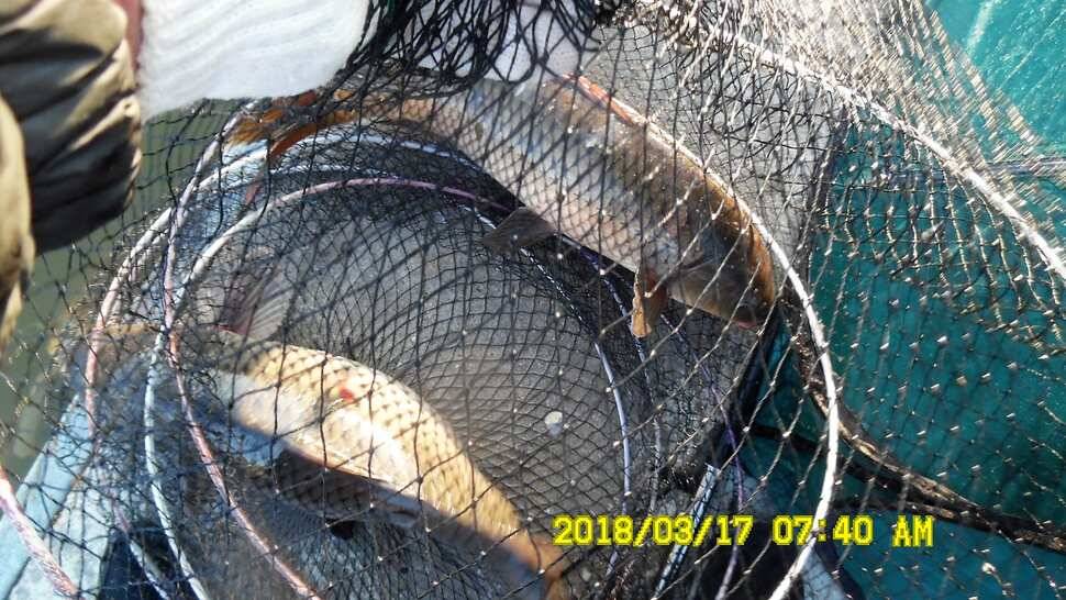 반제지 조황 (유료터정보 - 유료터점주조황)