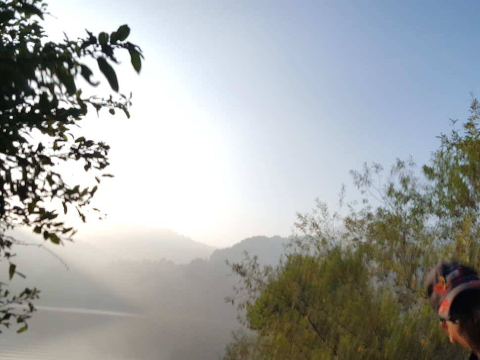 안성죽산장계지조항전경입니다 (유료터정보 - 유료터점주조황)