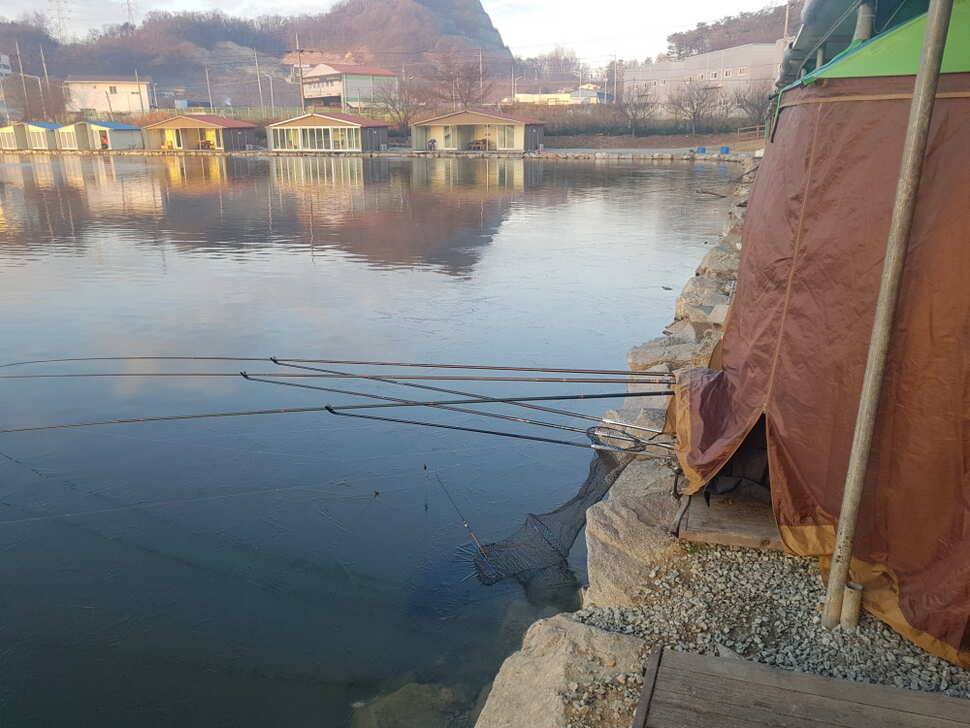 12 월 09 일 경기도 안성 거청낚시터 붕어조황 (유료터정보 - 유료터점주조황)