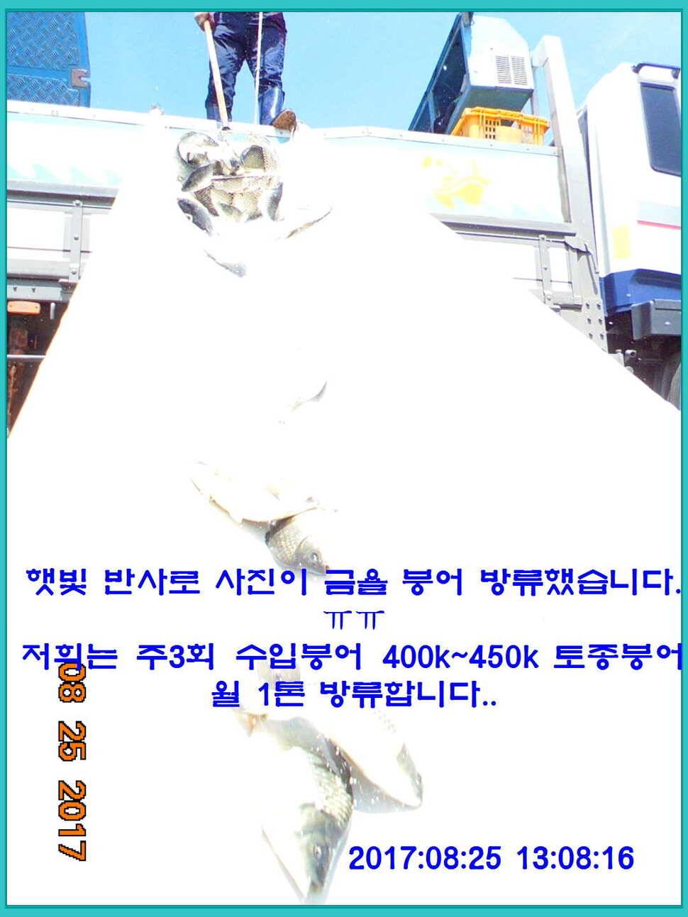 도심속의 작은 쉼터 화성 관리 낚시터입니다수확의 계절입니다 (유료터정보 - 유료터점주조황)