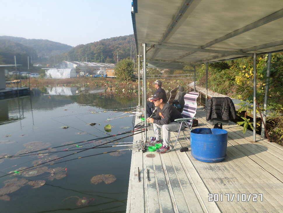 아산신수지 2627 화보 올림니다 (유료터정보 - 유료터점주조황)