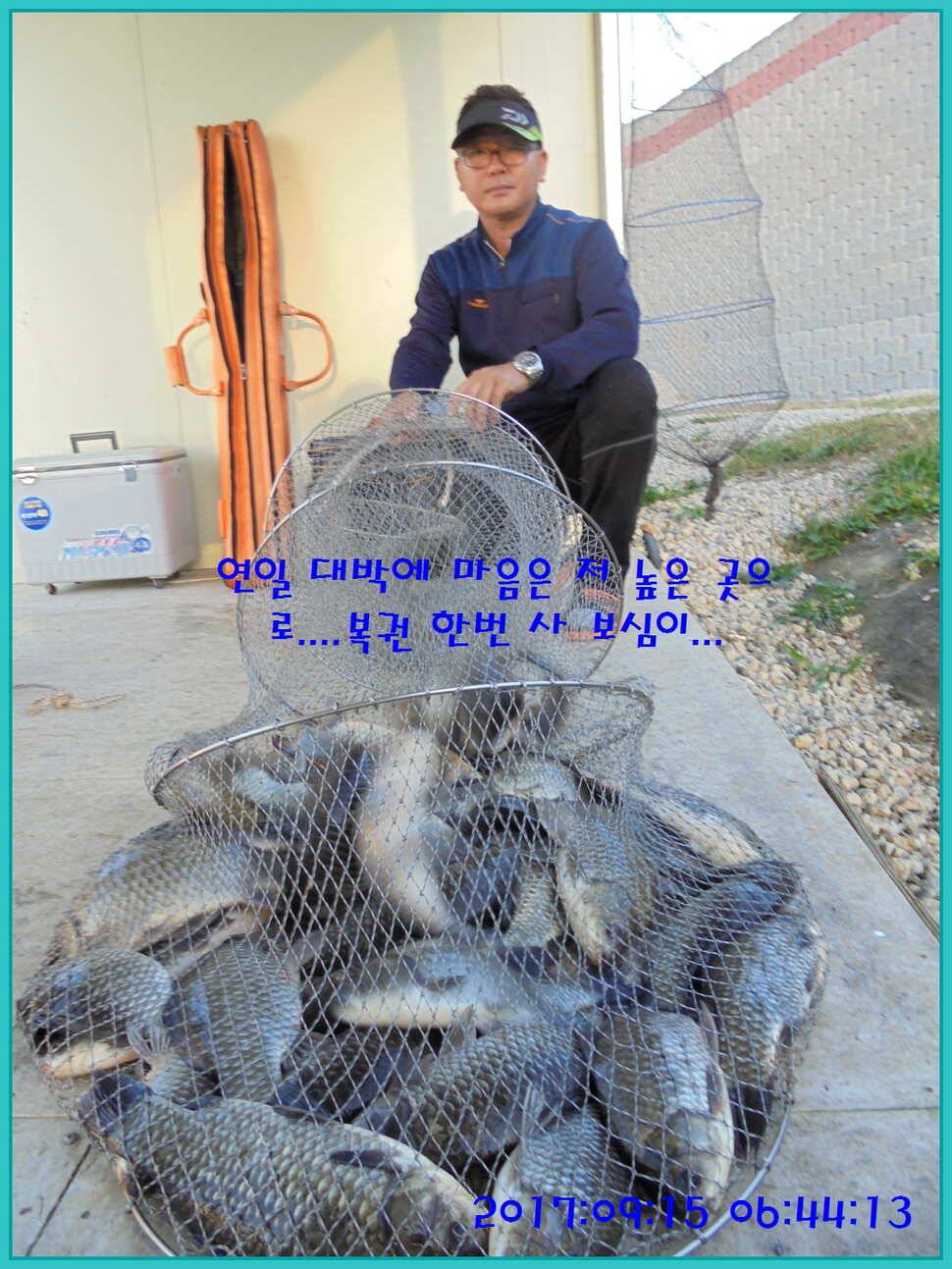 도심속의 작은 쉼터 화성 관리 낚시터입니다아주 좋습니다 (유료터정보 - 유료터점주조황)