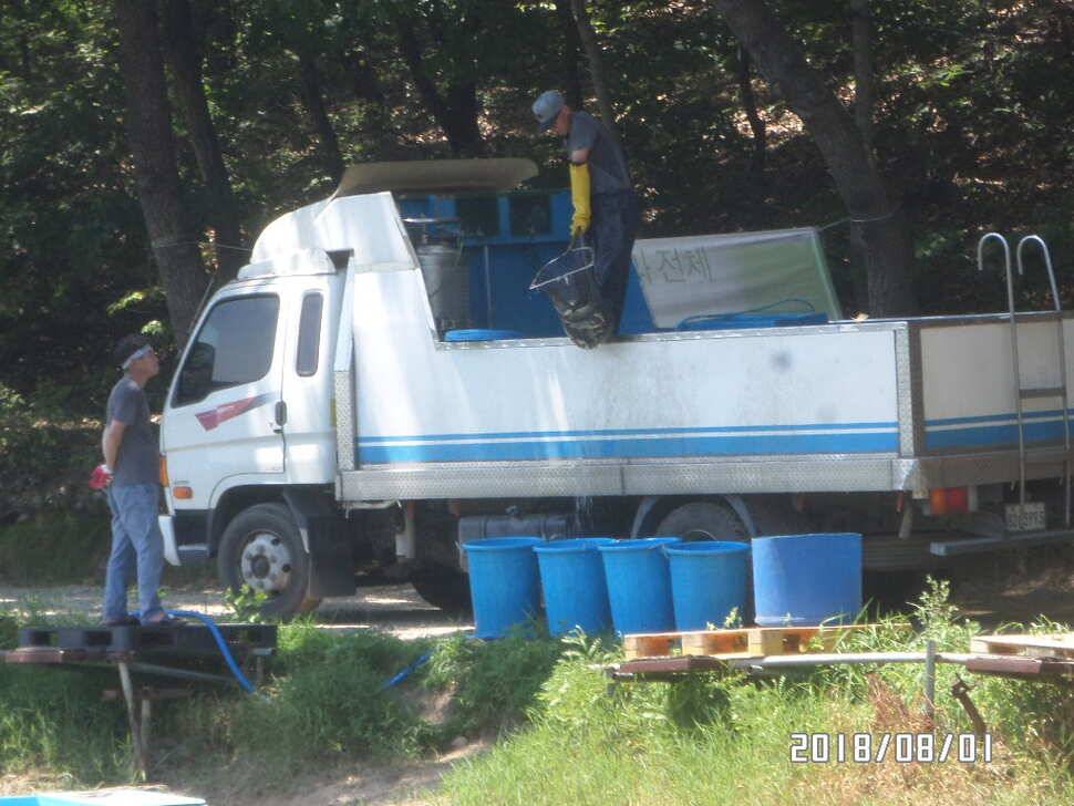 아산신수지 8월 첫 주말 화보입니다 (유료터정보 - 유료터점주조황)