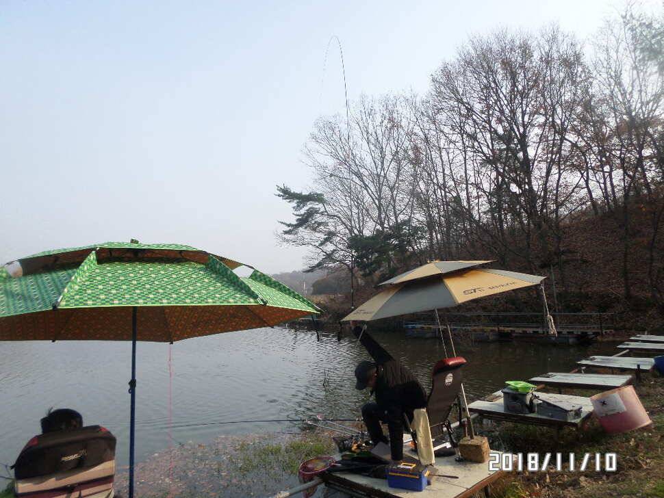 아산신수지 11월 둘째 주말 화보입니다 (유료터정보 - 유료터점주조황)