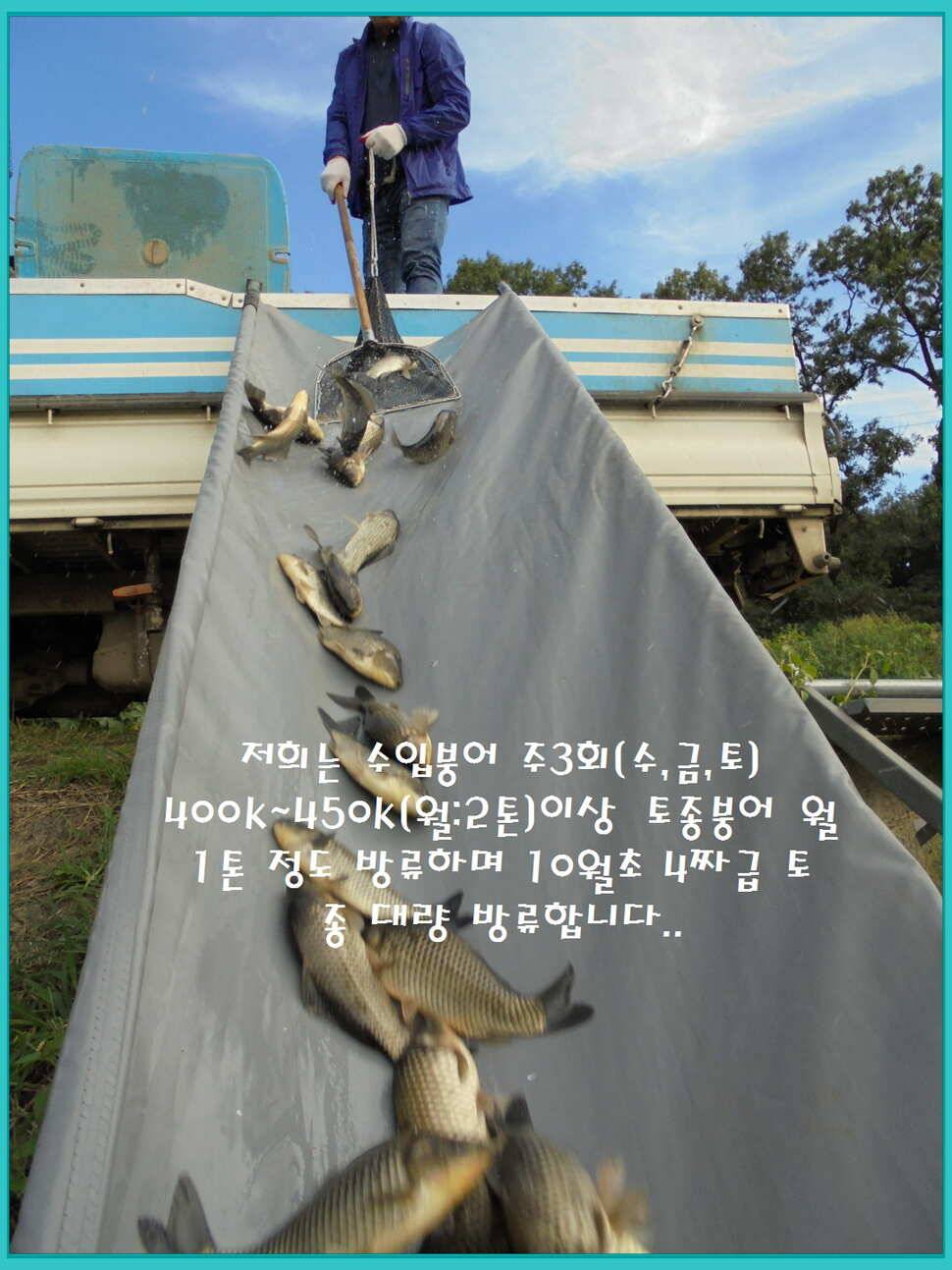 도심속의 작은 쉼터 화성 관리 낚시터입니다밤 조황 제일 핫 한곳 (유료터정보 - 유료터점주조황)