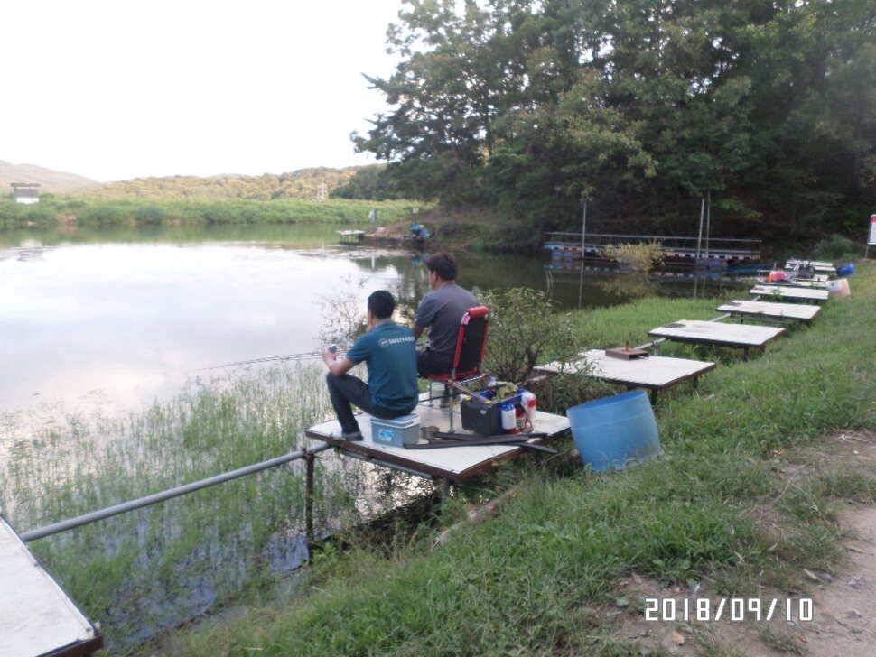 fish_pay_5bf4d_030859_27468.jpg