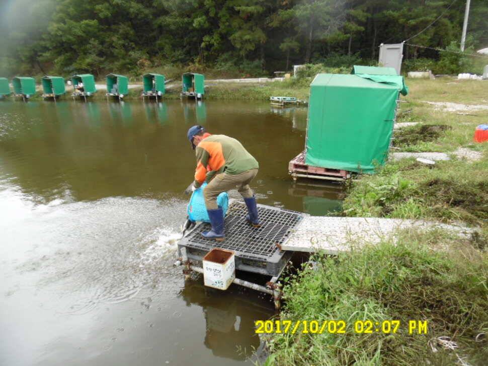 경주동산낚시터 지난주 조황 (유료터정보 - 유료터점주조황)