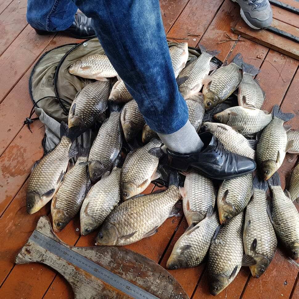fish_pay_5c57a_014311_76240.jpg