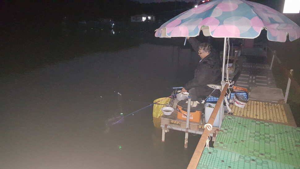 경주 동산낚시터 지난주 조황 (유료터정보 - 유료터점주조황)