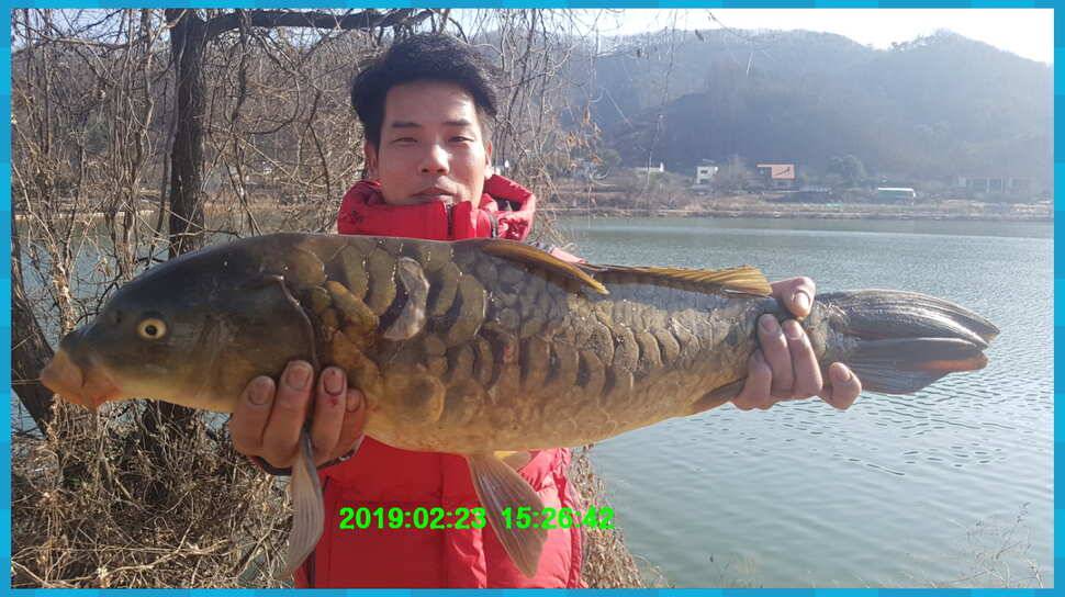 신원낚시터 개장소식 과 방류 동영상입니다 (유료터정보 - 유료터점주조황)